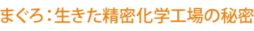 まぐろ：生きた精密化学工場の秘密